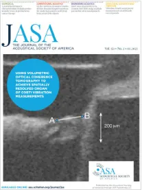 Using volumetric optical coherence tomography to achieve spatially resolved organ of Corti vibration measurements