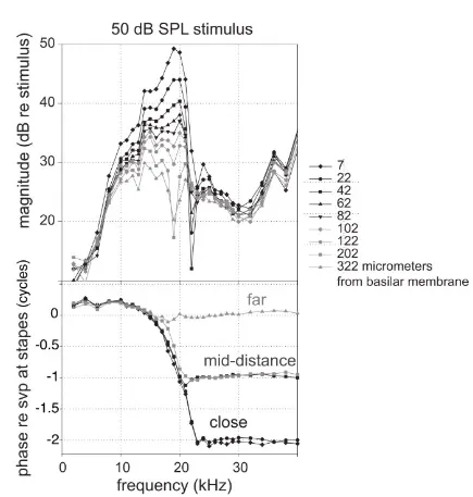 Intracochlear pressure along BM graph