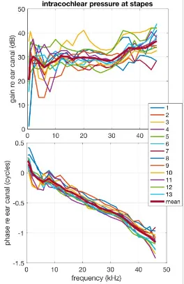 Intracochlear pressure at stapes graph